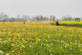 高考：现代文阅读文体特征知识点图片