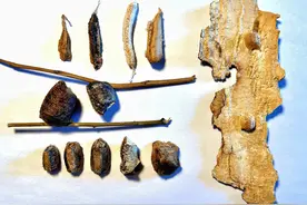 流尿狗儿、老挂鼻鼻、刀螂籽儿，讲的都是童年那些事图片