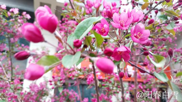 與時光對飲 給春夏秋冬畫像 朝陽網