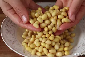 打豆浆：用干豆还是湿豆好？早餐摊老板说：牢记3点，豆浆更香浓图片