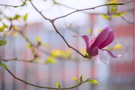 真正有钱的人，其实都很“狠”图片