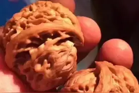 文玩核桃上过手，还能不能下水清理？图片