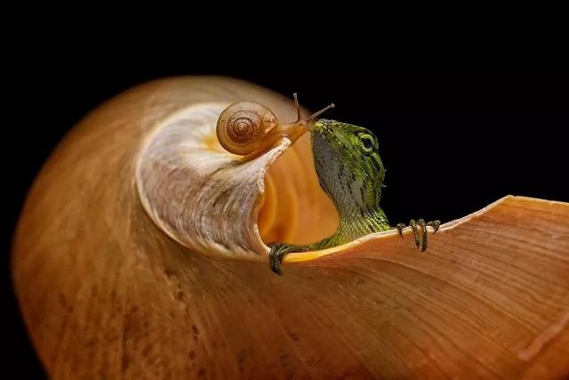 ӰƷأ