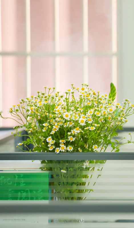 四川省民生研究会新媒体中心-官网