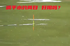 调平水钓两目，真的好用吗？正确把握精髓，让你的渔获翻倍图片