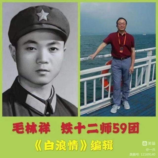 文章图片4