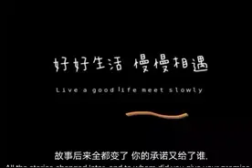 文案：你可以回头，但不可以往回走，逆行是全责图片