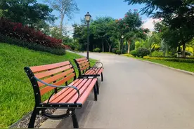 西双版纳的蚊虫真的很多吗？图片