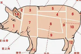 猪身上的7个部位，医生建议少吃，大肠排最后，榜首的很多人爱吃图片