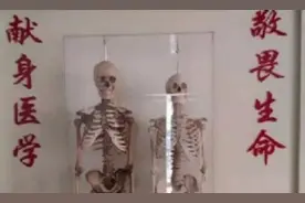 夫妻两人捐献遗体，14年后特殊“重逢”，两架白骨并排“站立”图片