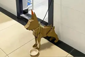 武汉美术生做纸狗看门走红：图纸随手画的，没想到很多人要图片