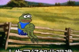 表情包：人生艰难，躺平了表情包图片