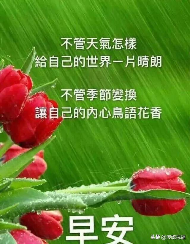 早上好表情精选，天地有情人间有爱，互相牵挂健康同行