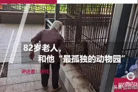 湖北“最孤独的动物园”：82岁园长，和他29岁的老猴子图片