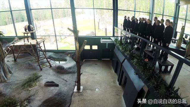 熊猫：真实存在的上古恐惧，为什么只有人类觉得大熊猫很可爱？