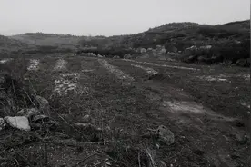 民间故事：男子雇人挖土，挖到青砖和蛇群，大爷说，别挖那块高地图片