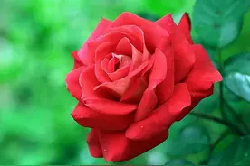 异性相处，男女间的“捅破窗户纸”，往往是从这些“互动”开始的图片