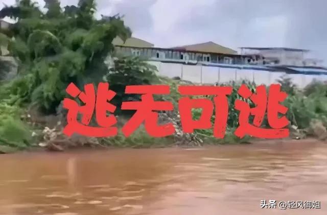 不要去缅北！诈骗卖淫割腰子有去无回，幸存者讲述生不如死的经历