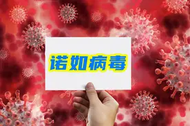 “诺如病毒”感染高峰期来袭！提醒大家：做好4点，别不当回事图片