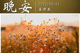 【晚安】请告诉孩子：所有优秀背后，都是苦行僧般的自律图片
