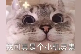 表情包：我可真是个小机灵鬼图片