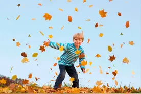 今年做这10件小事，幸福感提升10倍图片