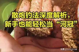 散炮钓法深度解析，新手也能轻松当“河冠”！图片