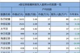 500万散户扎堆20家证券股：东方财富80万 中信证券54万图片