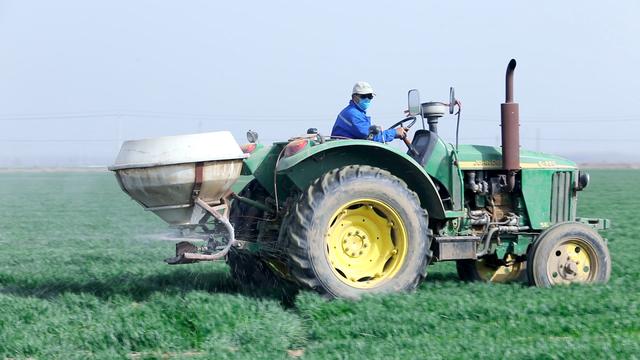 小麦春季长势慢，如何促进早返青？2个方法要掌握