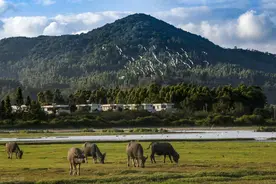 海南有两个世界长寿之乡，差别竟这么大！养老究竟哪里好？图片
