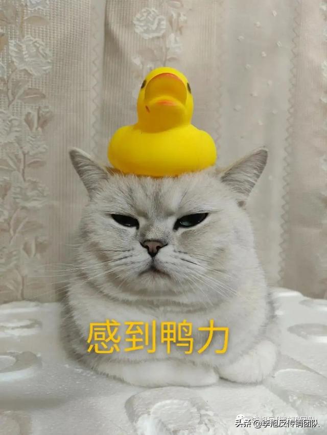 Ǳɹѧʦ˾