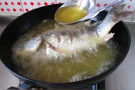 广东人很会吃，却为何有部分人不吃鲤鱼？理由：鲤鱼是发物图片