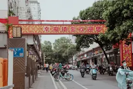 南京人，放弃科巷，去了锁金村图片