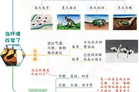 「新」科学五年级下：每课思维导图，高清完结版共28张！名师推荐图片