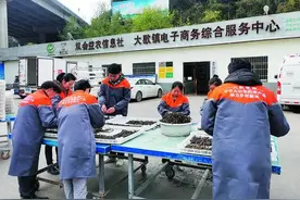 新农人②|辞职返乡加入“新农人”拥抱新电商力促山乡巨变图片