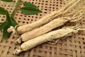中医治疗食道癌,低分化鳞癌中药方1则--五皮饮合葶苈大枣泻肺汤图片