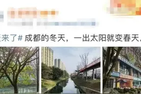 今天成都人的目标只有一个：晒太阳！图片