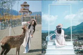 温州泰顺！天下第一故乡的3天2晚春日旅行游玩攻略图片