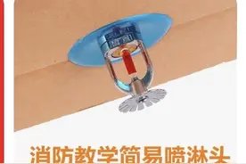 电商平台再现“应付消防检查”产品，消防从业者：害人图片