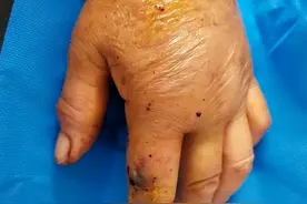 农村最害怕的蛇是“土呆子”？毒性远不如银环蛇，为何成村民噩梦图片