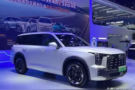 品质堪称一流！年度最佳十款中大型SUV在这，毛病少，被认可图片