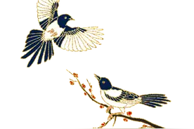 雨伞叫撑花儿，丢星是下小雨……藏在方言里的诗意，真是有趣图片