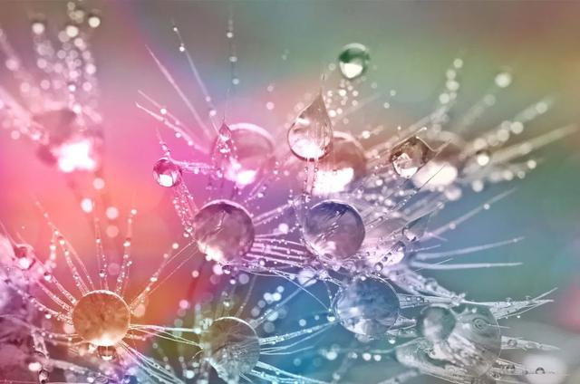 �����֯��һ�����