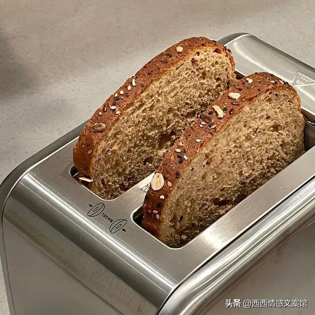 �ʺϷ�����Ȧ����ů�����İ�