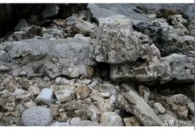 20秒内能从6张图中，找出隐藏的狙击手，你绝对有当飞行员潜力图片