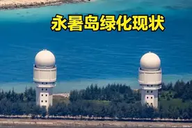 完美诠释“树是岛礁的生命”，南沙三大岛地表淡水富集迅速生态化图片