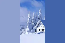 散文：独枕岁月寒，细数流年雪图片