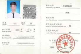 白蚁的危害，白蚁如何灭治，怎么预防家里白蚁图片