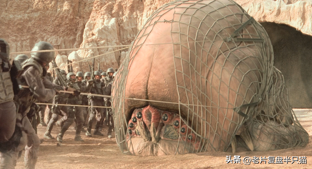盘点《星河战队》虫族兵种，从低级兵，讲到女王和虫神