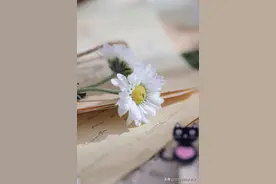 辽宁省名校联盟2022年高三10月份联合考试语文试题及答案图片